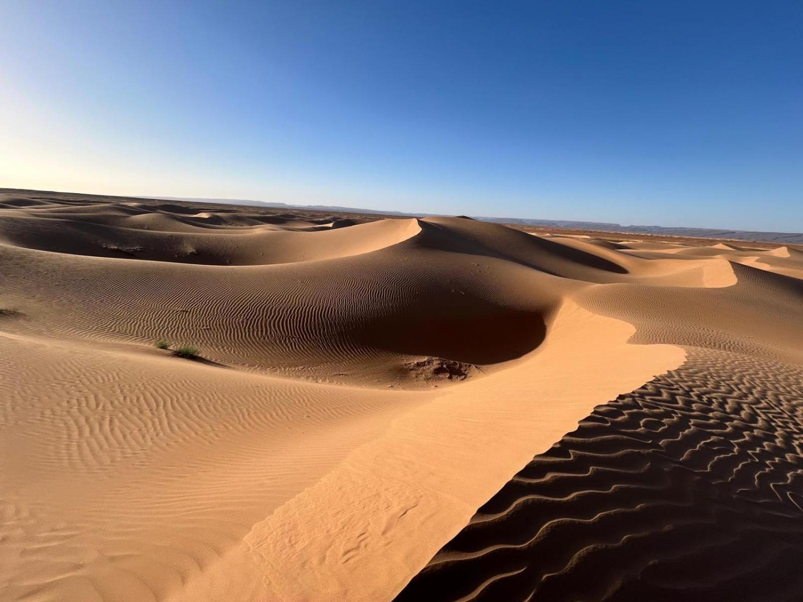 Bivouac La Dune Blanche M'Hamid Exterior foto